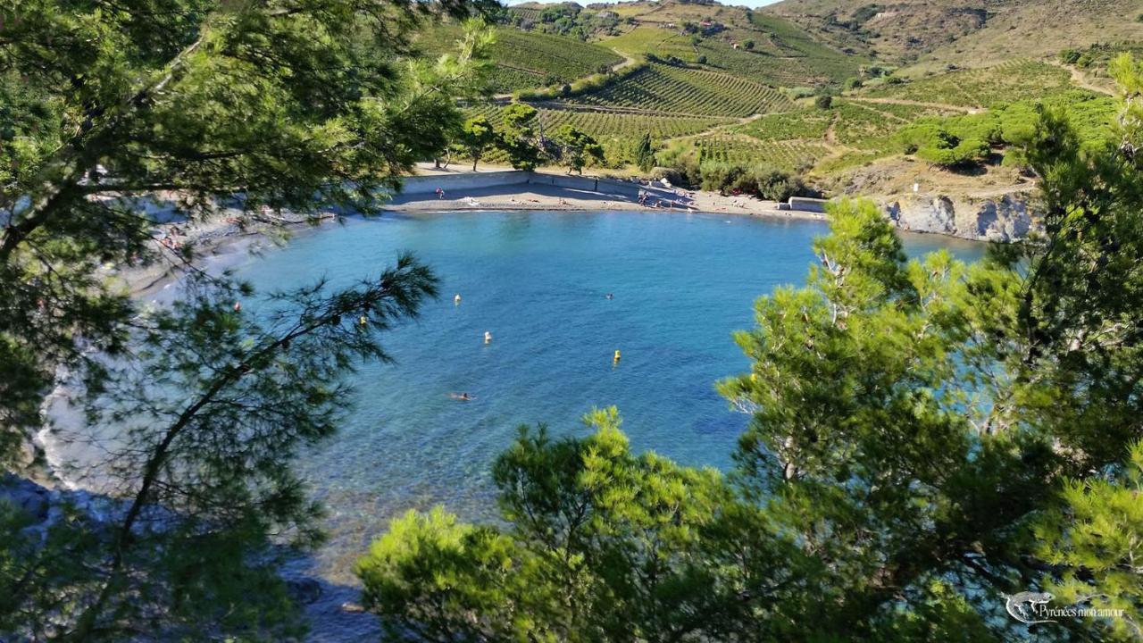 Les Hauts De Port Vendres Exteriör bild