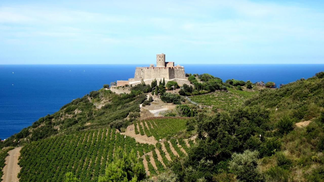 Les Hauts De Port Vendres Exteriör bild